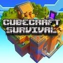 CubeCraft Survival