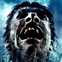 Rise of the Dead